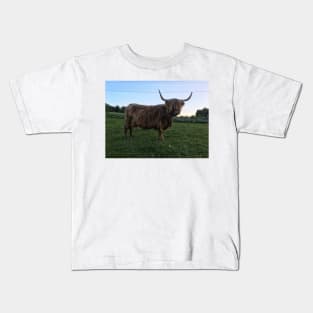 Scottish Highland Cattle Cow 1772 Kids T-Shirt